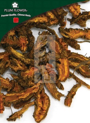 Goldthread Rhizome Whole: 500 gm (1.17 lb)