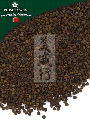 Milk Vetch Seed 500 gm (1.17 lb)