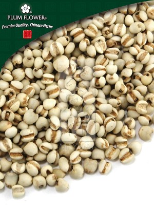 Coix Seed Whole: 500 gm (1.17 lb)