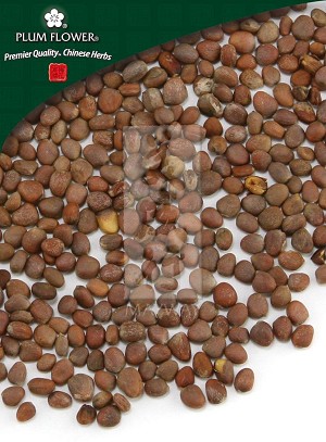 Radish Seed 500 gm (1.17 lb)