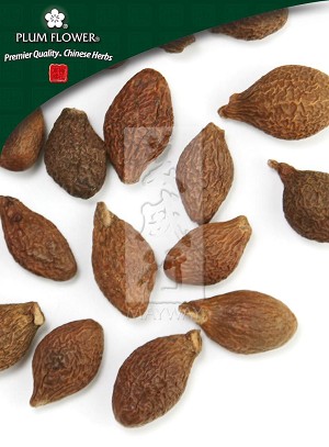 Boat Sterculia Seed Whole: 500 gm (1.17 lb)