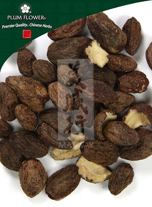 Torreya Nut Whole: 500 gm (1.17 lb)