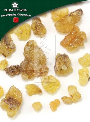 Frankincense Whole: 500 gm (1.17 lb)