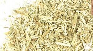 Wild Carrot/Queen Anne's Lace Herb Cut & sifted 20 lbs