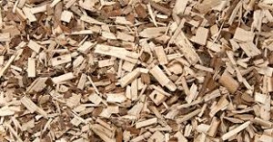 Witch Hazel Bark Whole 20 lbs
