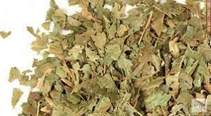 Witch Hazel Leaf Cut & sifted 20 lbs