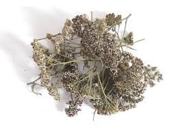 Yarrow Herb Whole 1 lb